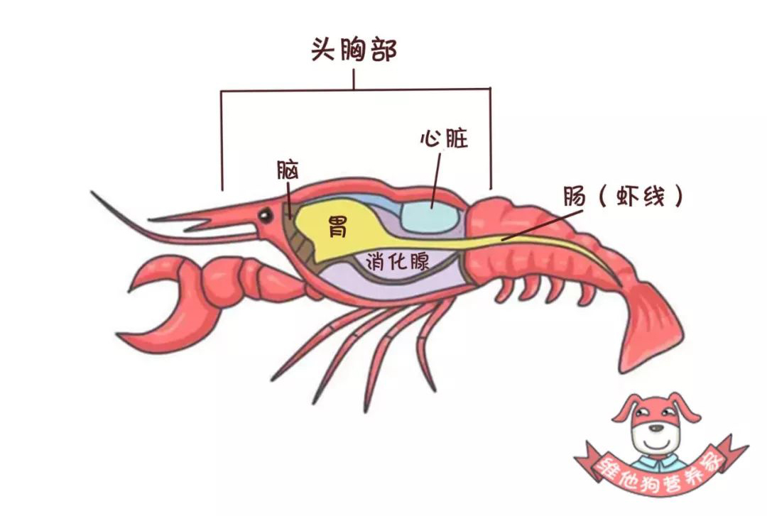 微信圖片_20190718091537.jpg